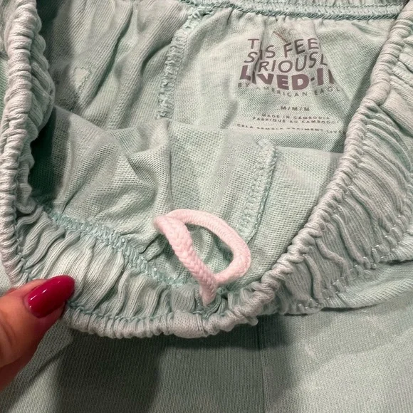 American Eagle Outfitters Light Green Athletic Shorts - Picture 4 of 8